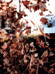 Young man throwing fall leaves