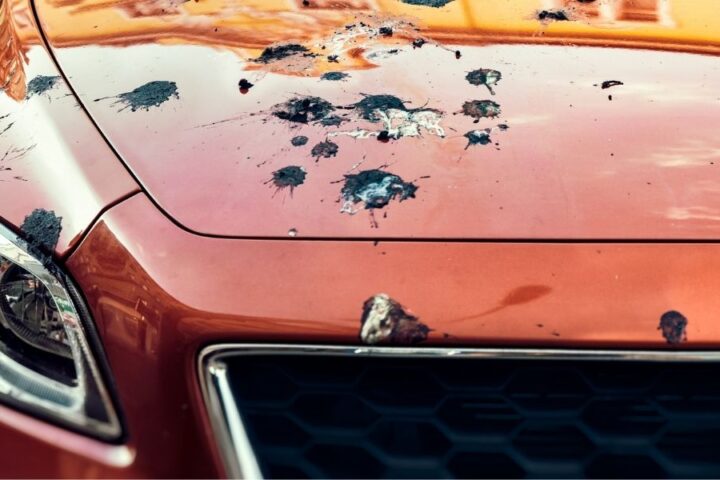 Most Common Causes of Car Paint Damage