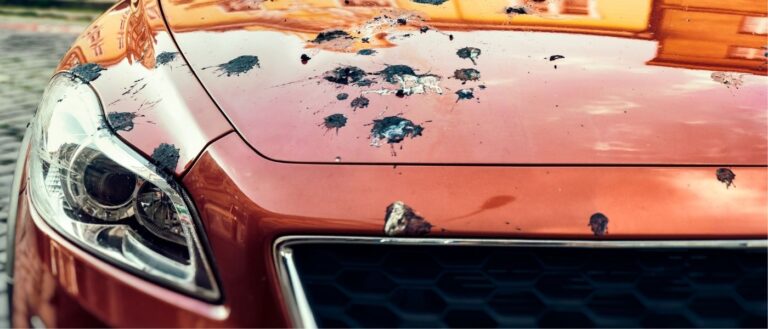 Most Common Causes of Car Paint Damage
