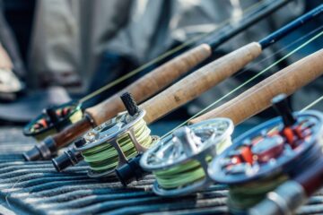 Which Fish Are Best To Catch by Fly-Fishing?