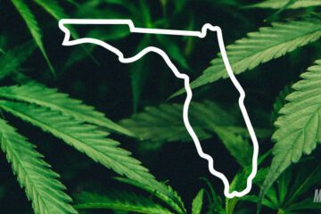 Is Marijuana Legal in the State of Florida?
