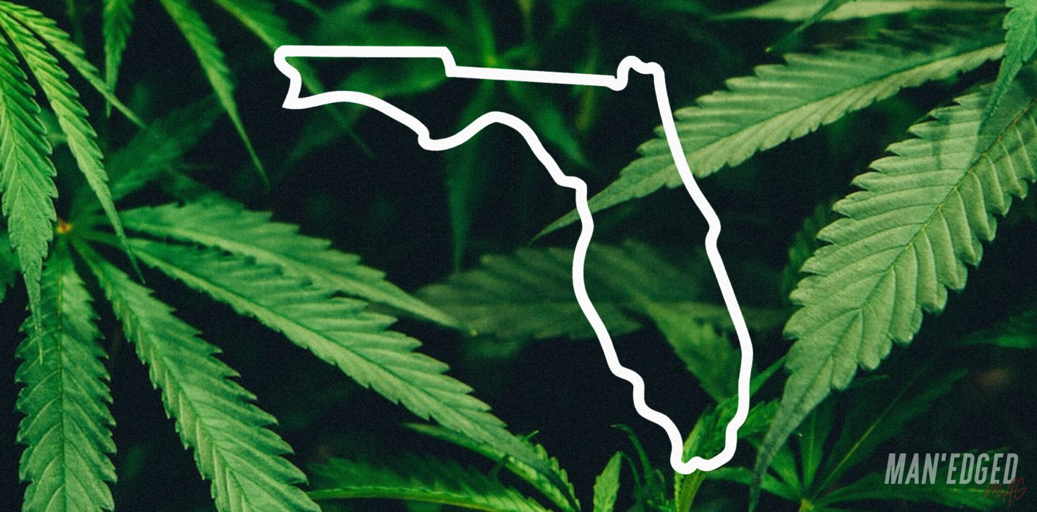 Is Marijuana Legal in the State of Florida?
