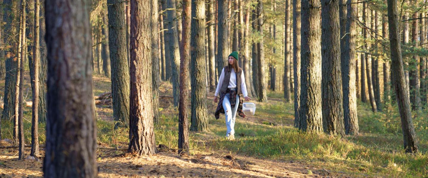 A woman wearing a green hat with a flannel shirt tied around her waist walks through the woods with a basket.