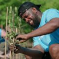A man crouching down in a community garden area to secure a leggy plant against a wooden stick.