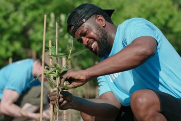 A man crouching down in a community garden area to secure a leggy plant against a wooden stick.