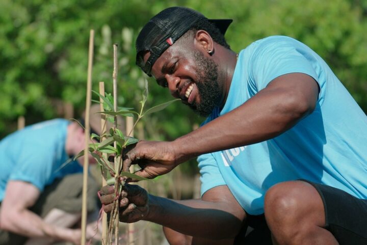 A man crouching down in a community garden area to secure a leggy plant against a wooden stick.