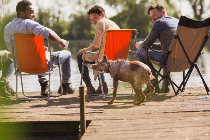 Four people sitting in folding chairs on a wooden dock beside a lake while a wet dog shakes off water.