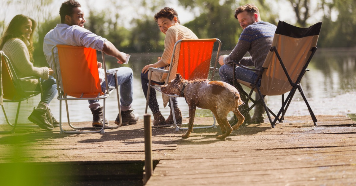 Four people sitting in folding chairs on a wooden dock beside a lake while a wet dog shakes off water.